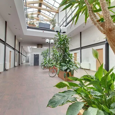 Daily - Two Floor Reval